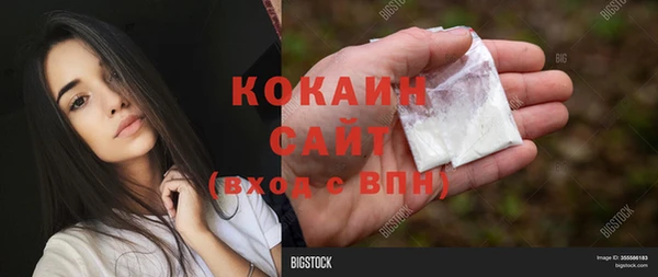 PSILOCYBIN Абаза